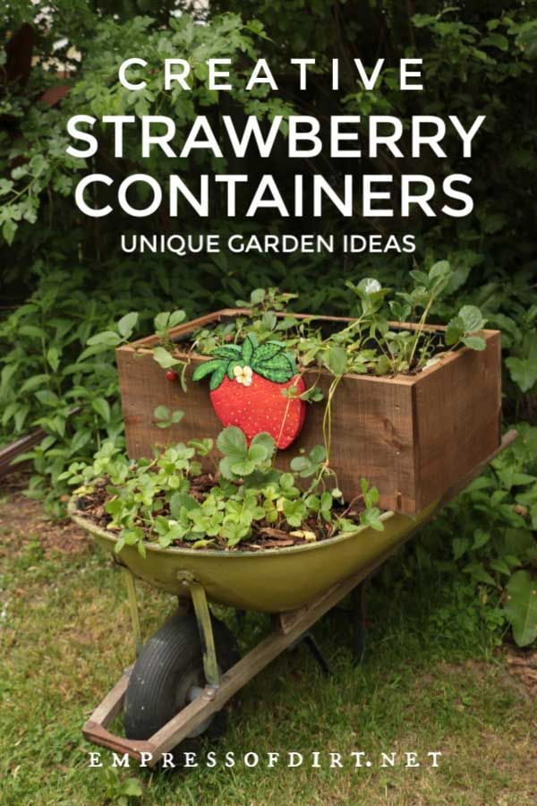 containers-for-garden-plants-98_7 Контейнери за градински растения