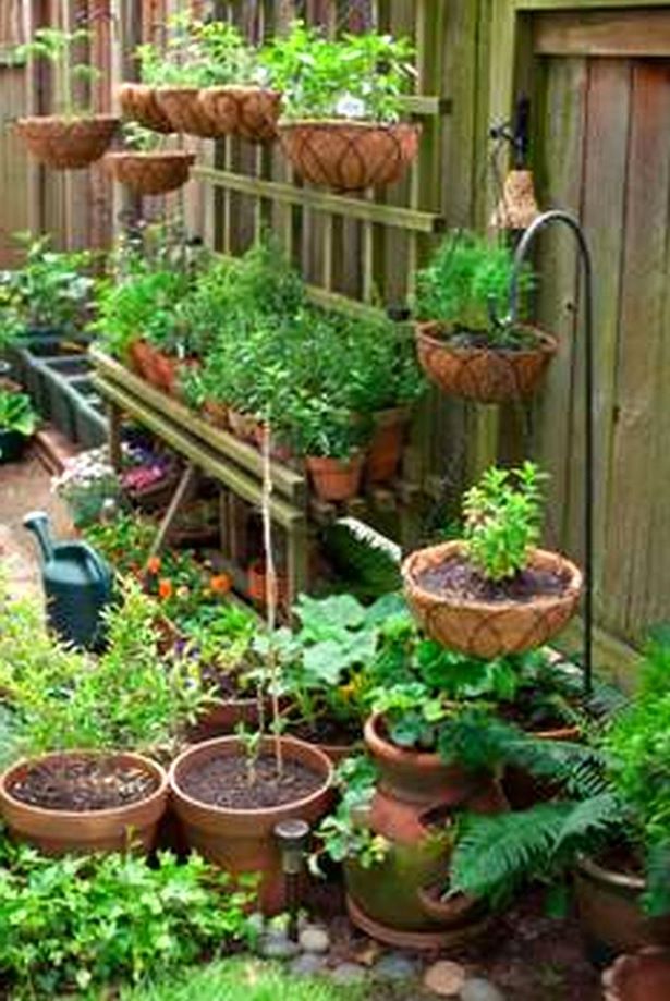 creative-home-garden-ideas-58_10 Творчески идеи за домашна градина