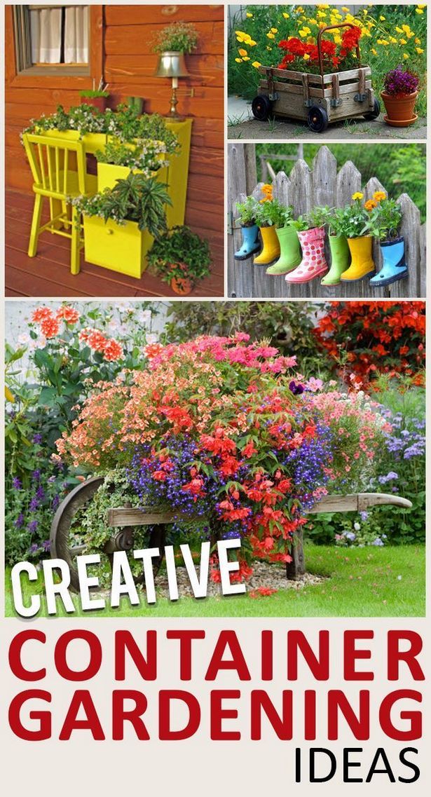 creative-ideas-for-plant-containers-15_19 Творчески идеи за контейнери за растения