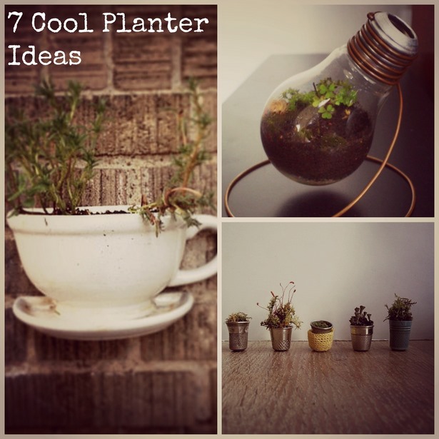 creative-pot-plant-ideas-53_14 Творчески идеи за саксии за растения