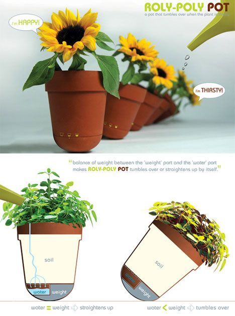 creative-pot-plant-ideas-53_3 Творчески идеи за саксии за растения