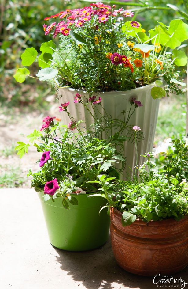creative-pot-plant-ideas-53_5 Творчески идеи за саксии за растения