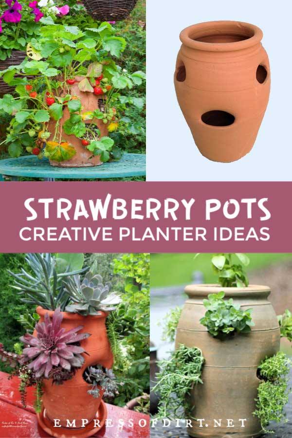 creative-pot-plant-ideas-53_8 Творчески идеи за саксии за растения