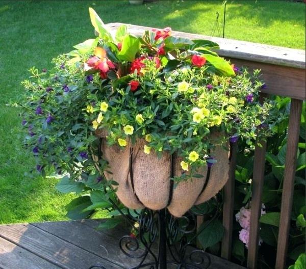 deck-flower-pot-arrangements-14_10 Палуба саксия аранжировки