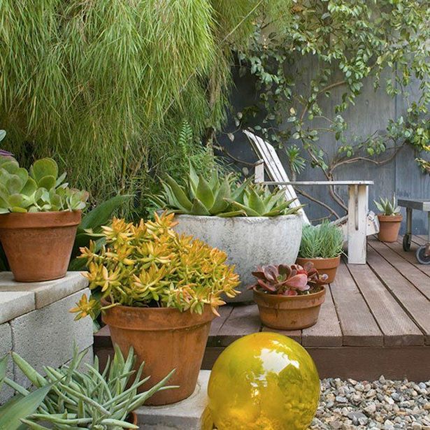 decorating-patio-with-potted-plants-36_10 Декориране на вътрешен двор със саксийни растения