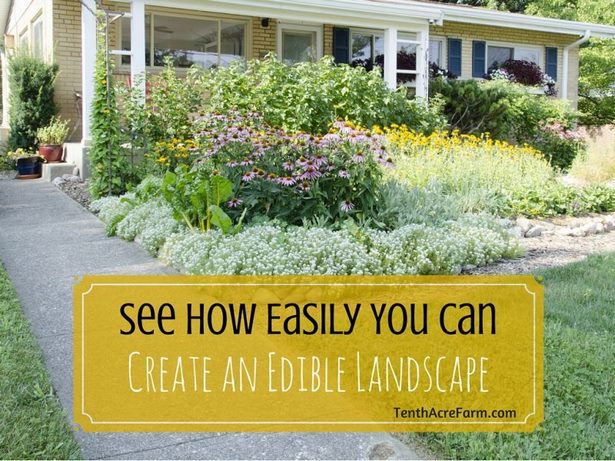 design-your-own-front-yard-landscape-21_12 Проектирайте свой собствен фронт двор пейзаж