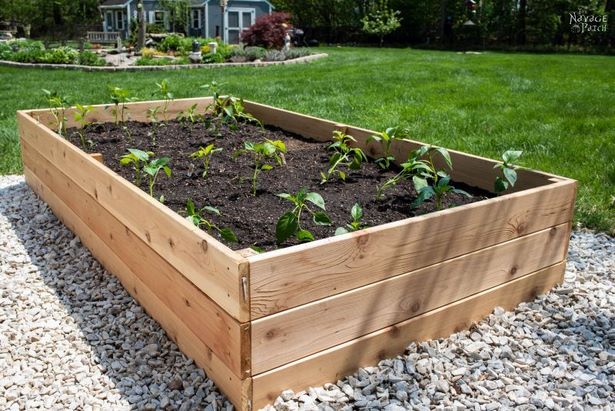 diy-raised-garden-beds-cheap-81_10 Направи Си Сам повдигнати градински легла евтини