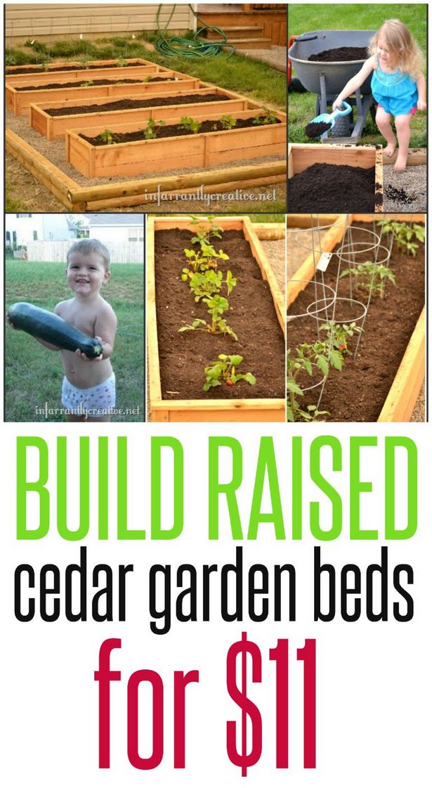 diy-raised-garden-beds-cheap-81_11 Направи Си Сам повдигнати градински легла евтини