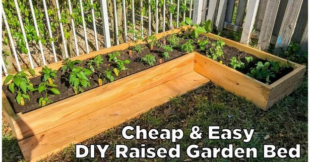 diy-raised-garden-beds-cheap-81_8 Направи Си Сам повдигнати градински легла евтини