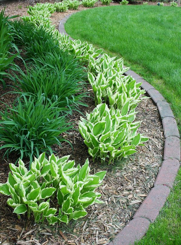 easy-front-lawn-landscaping-ideas-97_18 Лесни идеи за озеленяване на предната морава