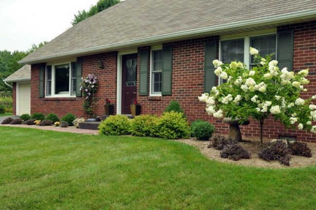 easy-landscaping-for-front-yard-38_12 Лесно озеленяване за предния двор