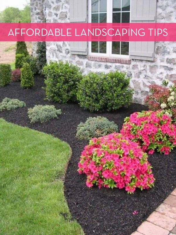 easy-landscaping-for-front-yard-38_16 Лесно озеленяване за предния двор
