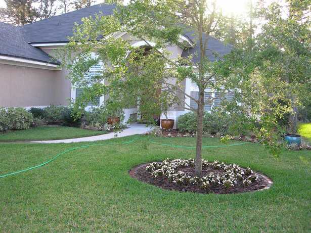 easy-landscaping-for-front-yard-38_7 Лесно озеленяване за предния двор