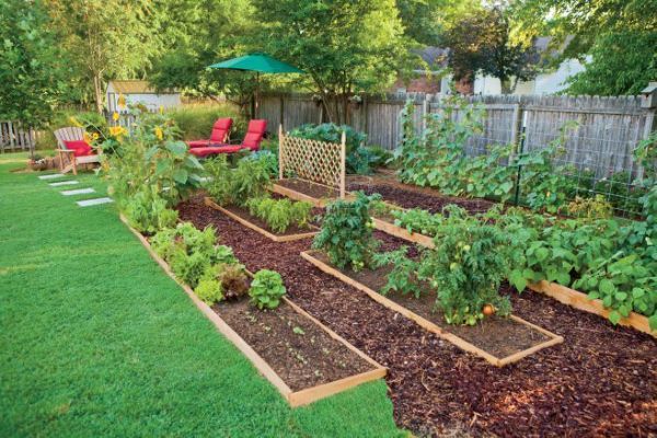 edible-garden-ideas-82_11 Идеи за ядливи градини