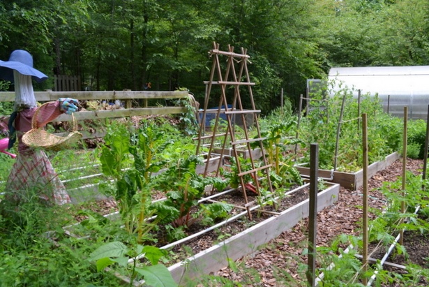 edible-garden-ideas-82_12 Идеи за ядливи градини