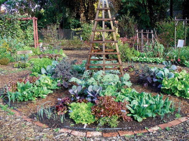 edible-garden-ideas-82_6 Идеи за ядливи градини