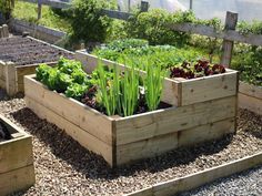 elevated-vegetable-beds-40_13 Повишени зеленчукови лехи