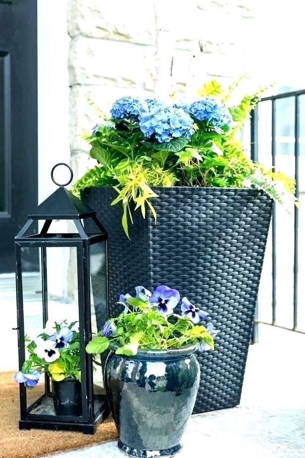 flower-container-ideas-for-sun-46_16 Идеи за цветни контейнери за слънце