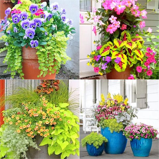 flower-container-ideas-for-sun-46_7 Идеи за цветни контейнери за слънце