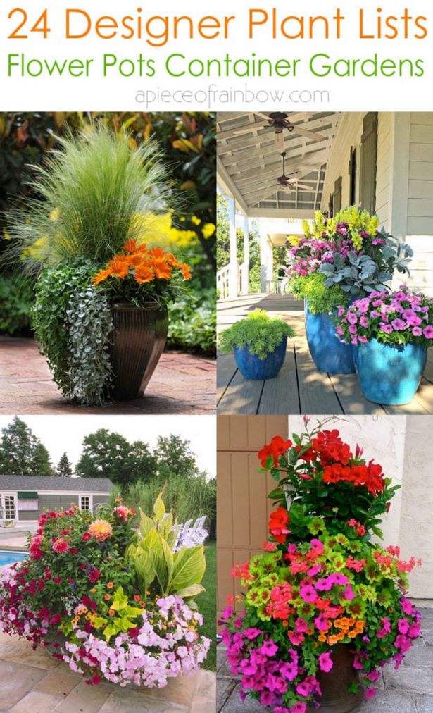 flower-container-planting-ideas-29 Идеи за засаждане на цветни контейнери