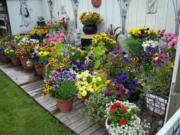 flower-garden-pot-designs-56_13 Цветна градина саксия дизайни