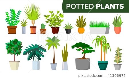 flower-pot-plant-designs-98_13 Саксия растителни дизайни