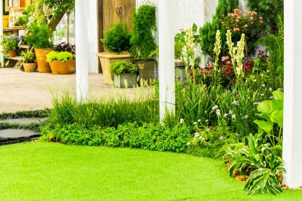 front-lawn-landscaping-plants-91_15 Предна морава озеленяване растения