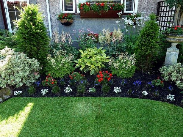 front-lawn-plant-ideas-74_11 Фронт тревни растения идеи