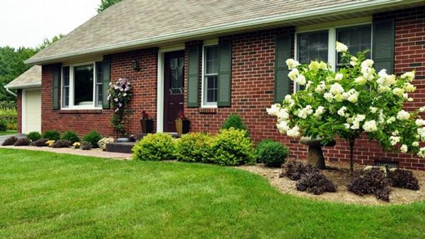 front-yard-landscaping-for-a-small-house-58_8 Преден двор озеленяване за малка къща
