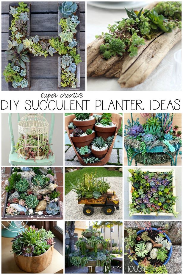 fun-planter-ideas-85_5 Забавни идеи за плантатори