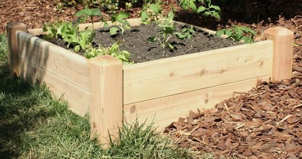 garden-bed-kit-80 Комплект градински легла