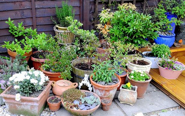 garden-containers-pots-and-planters-64 Градински контейнери саксии и саксии