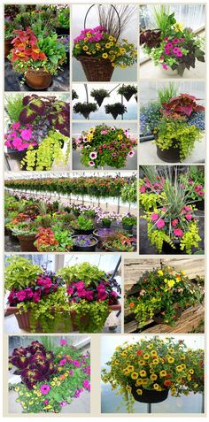 garden-flower-containers-46_13 Контейнери за градински цветя
