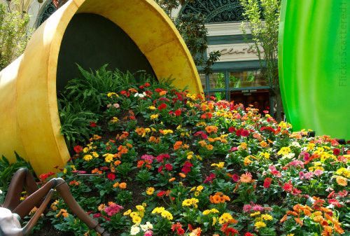 Градински саксии за цветя дизайни