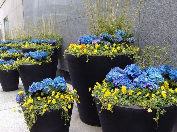 garden-flower-pots-designs-69_13 Градински саксии за цветя дизайни