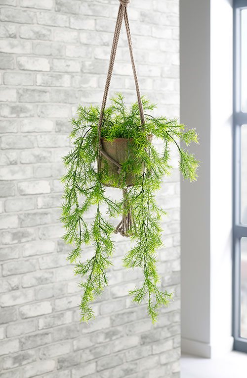 hanging-plants-14 Висящи растения