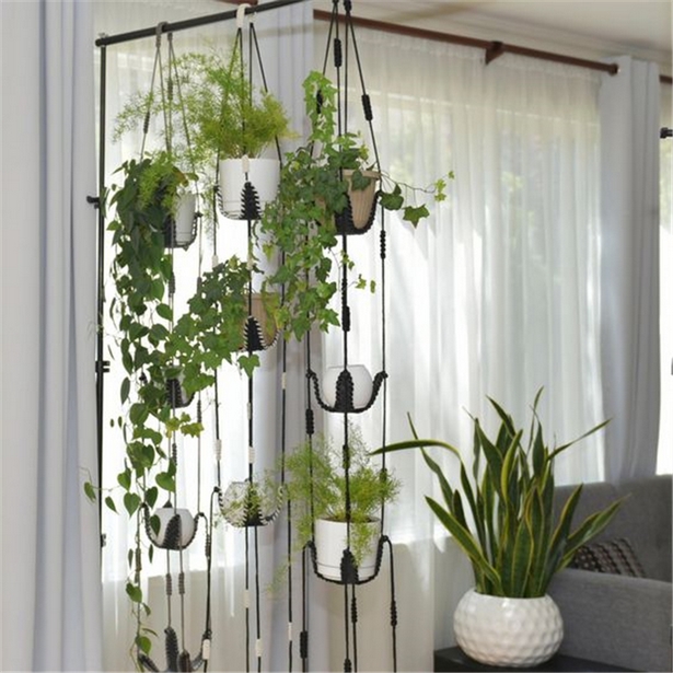 hanging-plants-14_11 Висящи растения