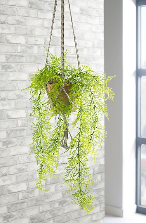 hanging-plants-14_12 Висящи растения