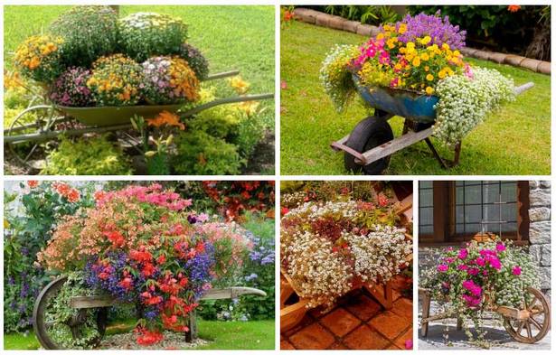 ideas-for-annual-flowers-in-planters-18_10 Идеи за едногодишни цветя в саксии