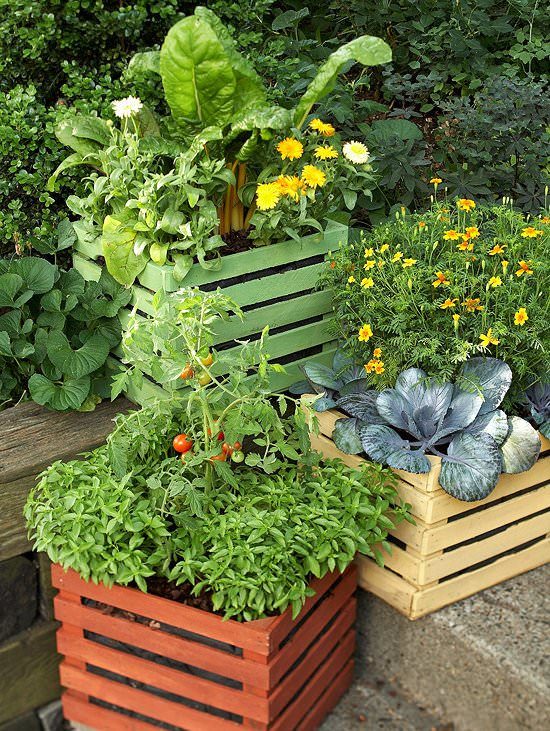 ideas-for-container-gardening-vegetables-82 Идеи за контейнер градинарство зеленчуци