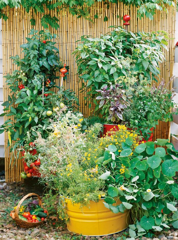 Идеи за контейнер градинарство зеленчуци