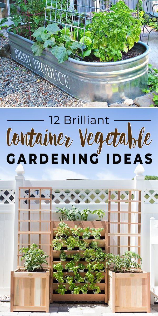 ideas-for-container-gardening-vegetables-82_4 Идеи за контейнер градинарство зеленчуци