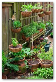 ideas-for-container-gardening-vegetables-82_7 Идеи за контейнер градинарство зеленчуци