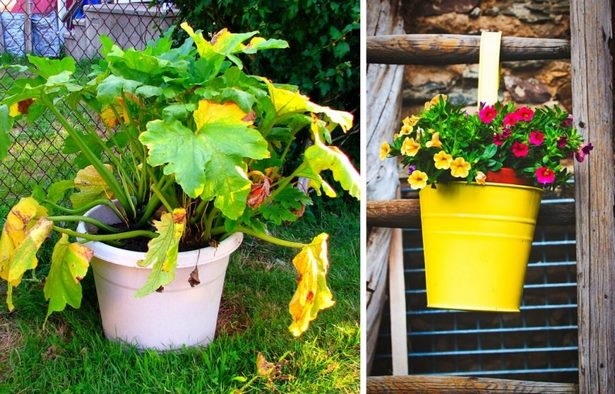 ideas-for-container-gardening-vegetables-82_9 Идеи за контейнер градинарство зеленчуци