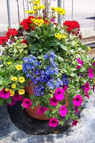 ideas-for-flowers-in-planters-53_10 Идеи за цветя в саксии