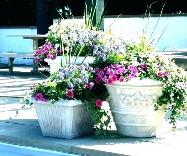 ideas-for-flowers-in-planters-53_19 Идеи за цветя в саксии