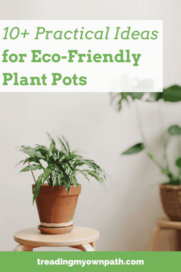 ideas-for-large-potted-plants-71_2 Идеи за големи саксийни растения