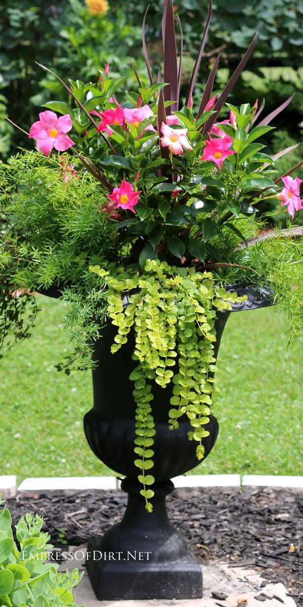 ideas-for-planting-flowers-in-urns-07_5 Идеи за засаждане на цветя в урни