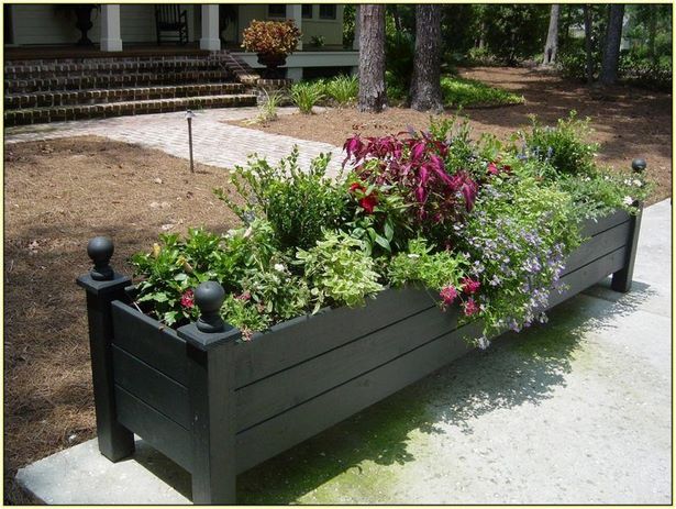 ideas-for-plants-in-a-planter-box-63 Идеи за растения в плантаторска кутия