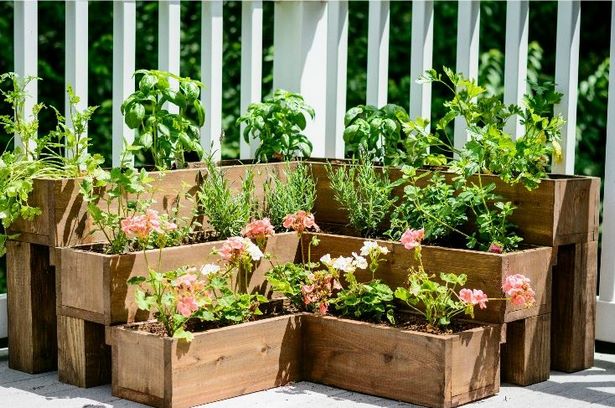 ideas-for-plants-in-a-planter-box-63_16 Идеи за растения в плантаторска кутия
